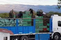 Argentina: 100 kilos de hojas de coca en camión
