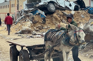 Exigen entrada de ayuda en Gaza