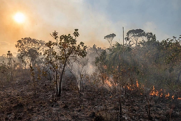 Brasil: endurecer penas contra delitos ambientales