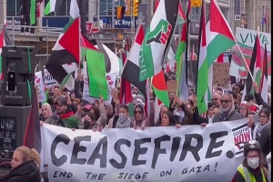 Marchas en todo el mundo por alto el fuego en Gaza