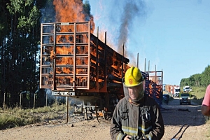 Se incendio un camión con madera