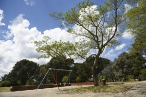 Inauguración Parque Urbano Carrasco Norte