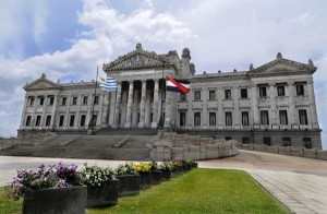 Parlamento: vuelve proyecto de eutanasia