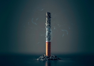 La industria del tabaco también daña el medio ambiente