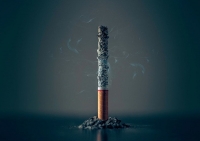 La industria del tabaco también daña el medio ambiente