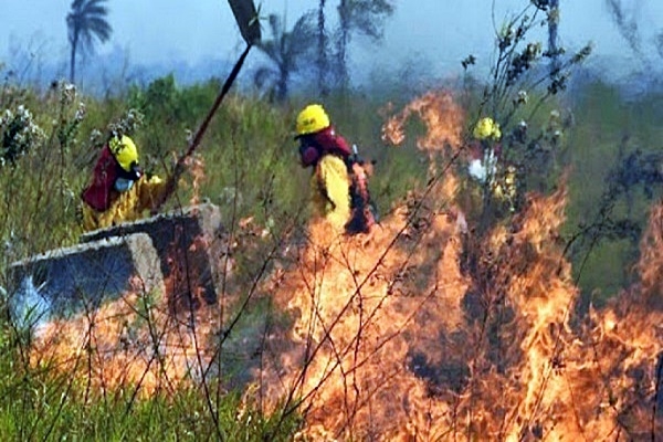 Incendios devastan el Pantanal