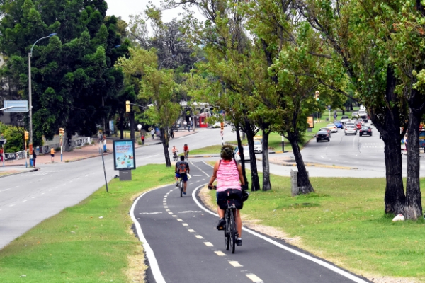 Europa apuesta por la bicicleta