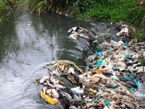 Solo el 5% de los plásticos se reciclan en EE.UU.