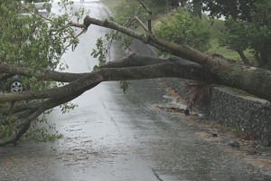 Destrozos en Paysandú por el temporal