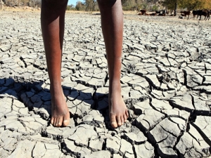 Sequía: Llovió pero poco