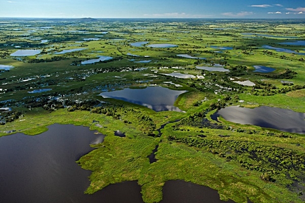 La deforestación cayó en Brasil