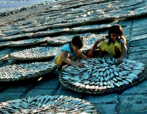 Los latinoamericanos comerán cada vez más pescado