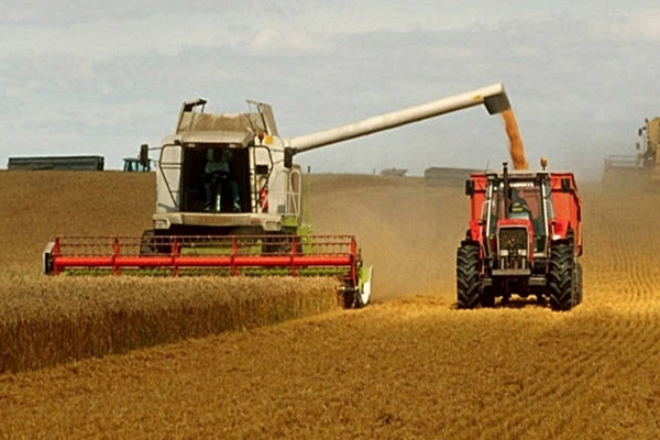 UE: aranceles altos a grano ruso y bielorruso