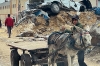 Exigen entrada de ayuda en Gaza