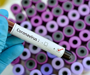 Las últimas cifras de coronavirus