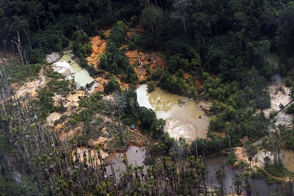 Amazonas: Desmantelan más de 290 campamentos mineros