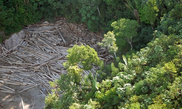 Brasil: La deforestación en tierras indígenas