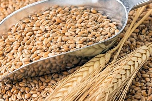 Ucrania retomará exportaciones de cereales