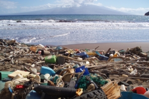 El impacto del plástico en los océanos