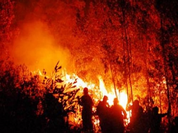 Japón: bomberos combaten enorme incendio forestal