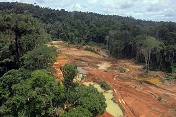 Brasil: desmonte en tres estados amazónicos