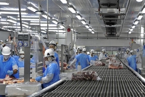 Paysandú: seguro a trabajadores menos de 8.000 pesos