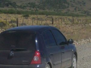 &quot;No estaba corriendo ninguna picada&quot;