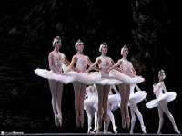 Riccetto dirigirá el Ballet Nacional y Stefan Lano la Orquesta Sinfónica