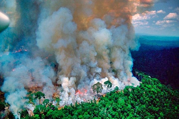 Brasil ha perdido el 33% de su territorio natural